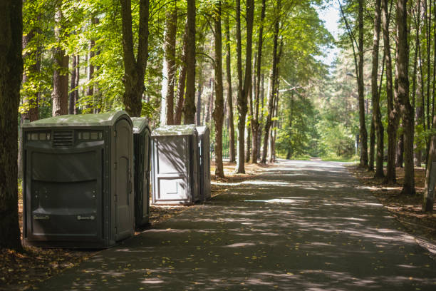Best Portable bathroom rental  in Emmetsburg, IA